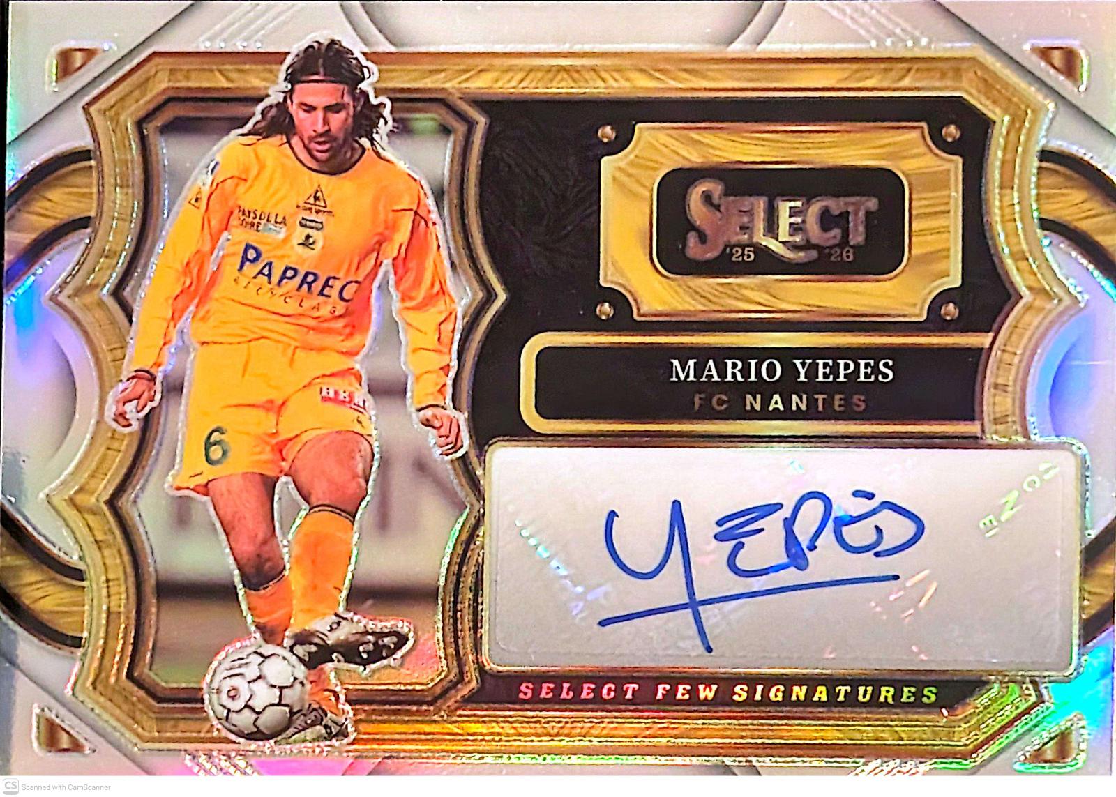 Mario Yepes