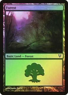 Forest