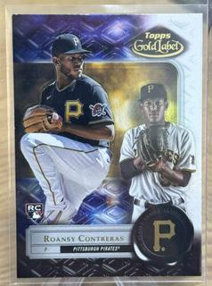 Roansy Contreras
