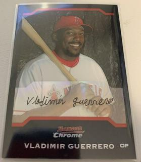 Vladimir Guerrero