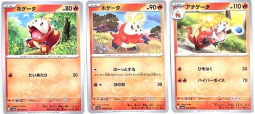 Crocalor #19 Pokemon Japanese Triplet Beat