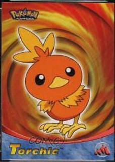 Torchic