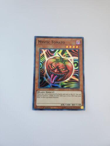 Mystic Tomato DASA-EN046 YuGiOh Dark Saviors