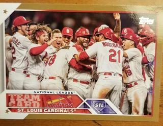 St. Louis Cardinals