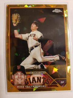 Mike Yastrzemski