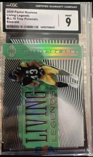 Troy Polamalu