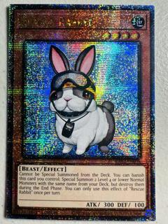 Rescue Rabbit RA02-EN008