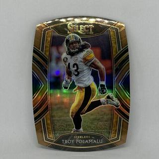 Troy Polamalu