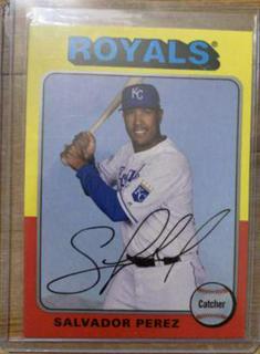 Salvador Perez