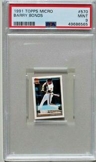 Barry Bonds
