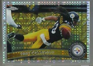 Troy Polamalu