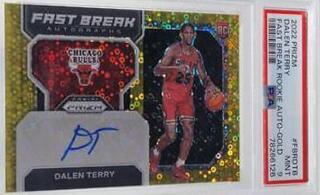 Dalen Terry