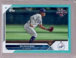 Wilman Diaz