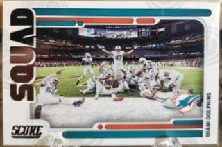 Miami Dolphins