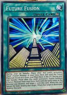Future Fusion SDCS-EN029