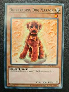 Outstanding Dog Marron OP17-EN014