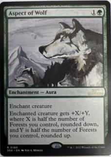 Aspect of Wolf