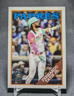 Fernando Tatis Jr.