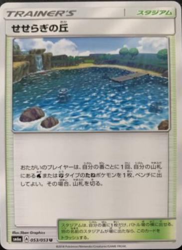 Brooklet Hill #53 Pokemon Japanese Dragon Storm