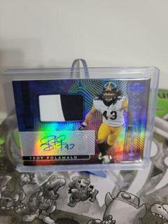 Troy Polamalu