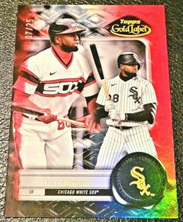 Luis Robert