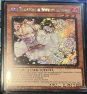 Ash Blossom & Joyous Spring RA01-EN008