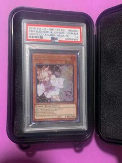 Ash Blossom & Joyous Spring LCKC-EN080