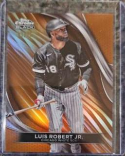 Luis Robert Jr.