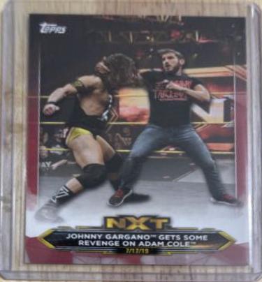Johnny Gargano, Adam Cole #9 Wrestling Cards 2020 Topps WWE NXT
