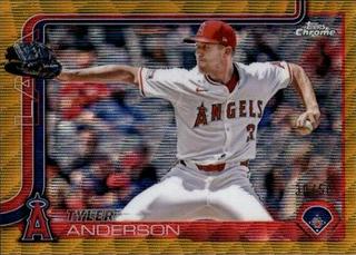 Tyler Anderson