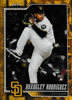 Bradgley Rodriguez