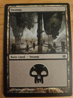 Swamp