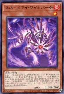 Snake-Eye Birch AGOV-JP009