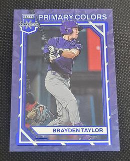 Brayden Taylor