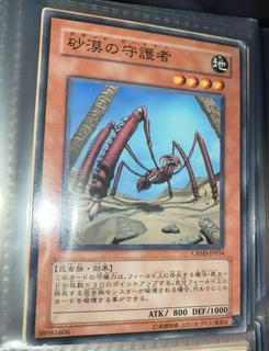 Desert Protector CRMS-JP034