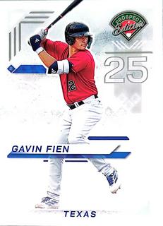 Gavin Fien