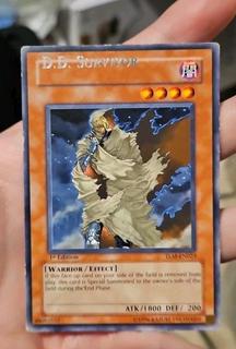 D.D. Survivor TLM-EN023