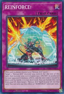 REINFORCE! MP24-EN354