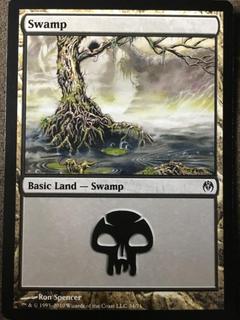 Swamp