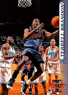 Terrell Brandon