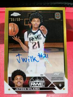 Jayden Wilkins