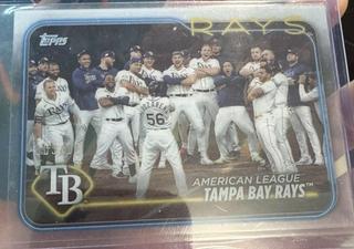 Tampa Bay Rays