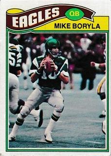 Mike Boryla
