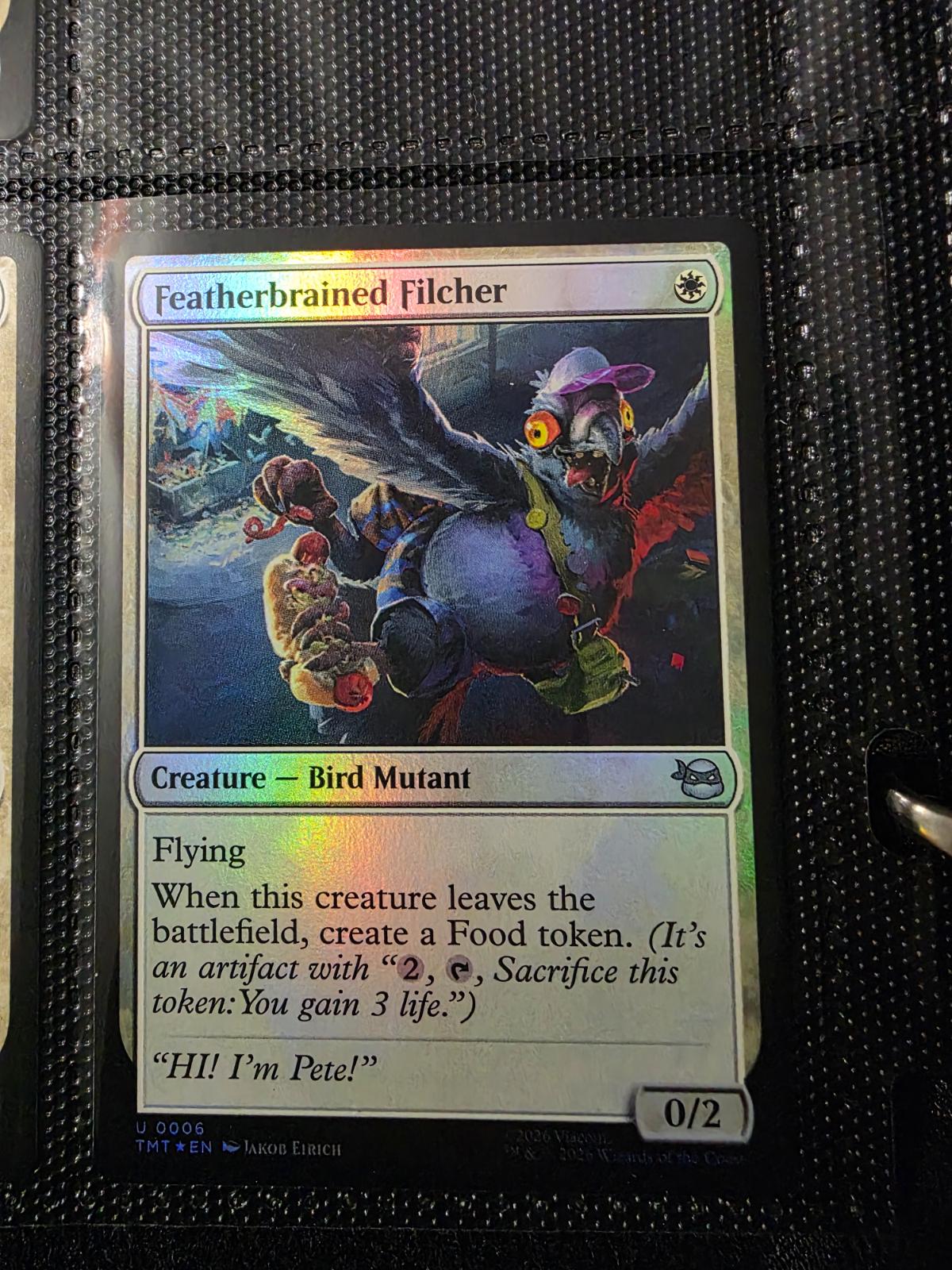 Featherbrained Filcher