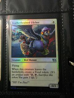 Featherbrained Filcher