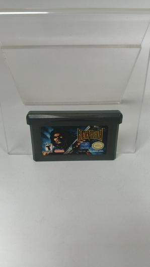 Blackthorne photo