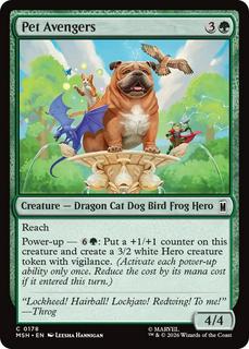 Pet Avengers