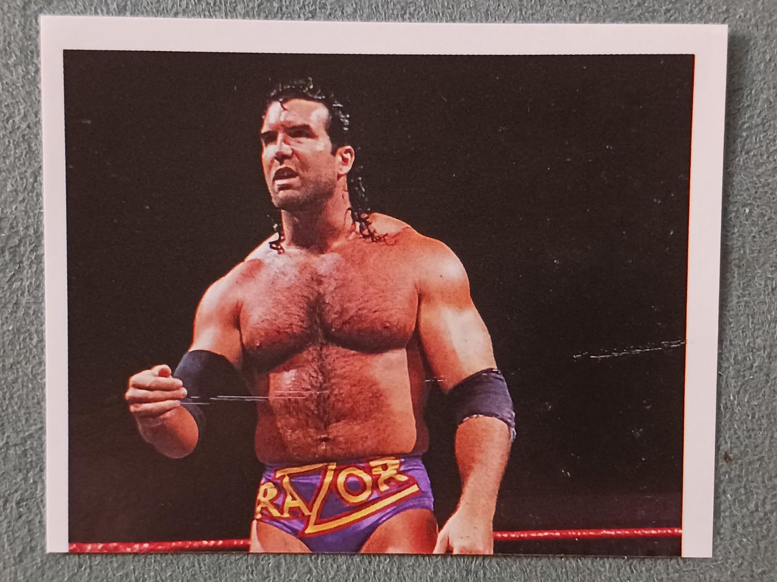 Razor Ramon #161 Prices | 1992 Merlin WWF Stickers | Wrestling Cards