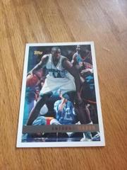Scottie Pippen 1991-92 Hoops #582 BASKETBALL Card