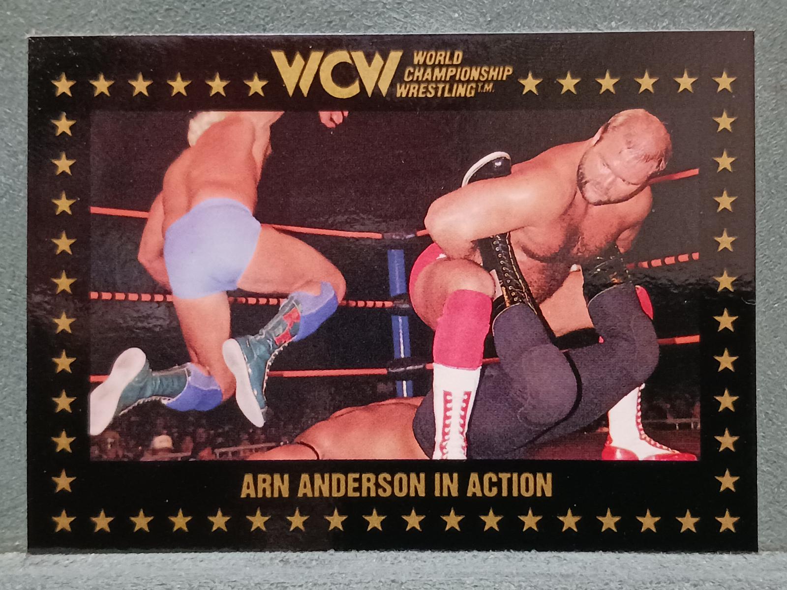 Arn Anderson in Action #108 Wrestling Cards 1991 Championship Marketing WCW